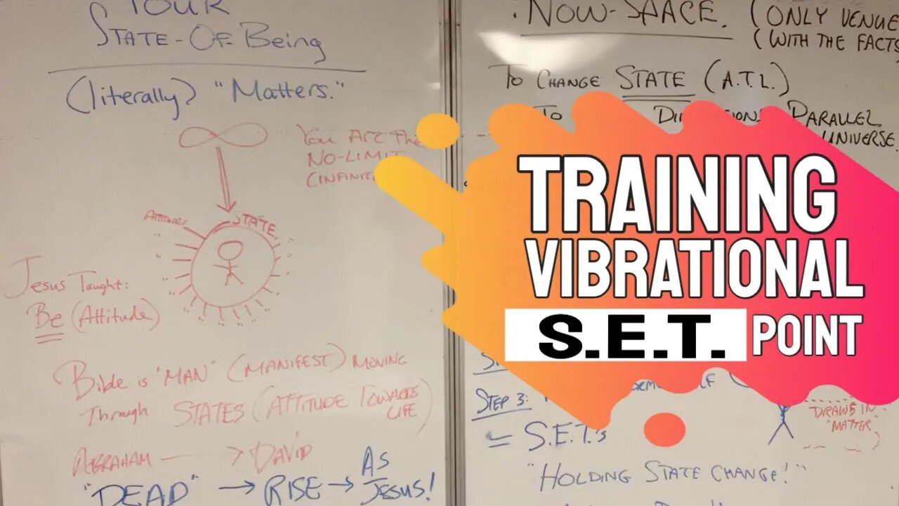 Success in Manifesting IS Training Your Vibration!