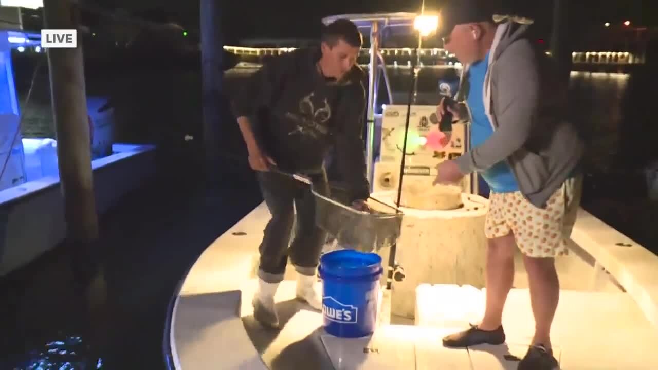 Shining A Light: Bait fisherman of Jupiter