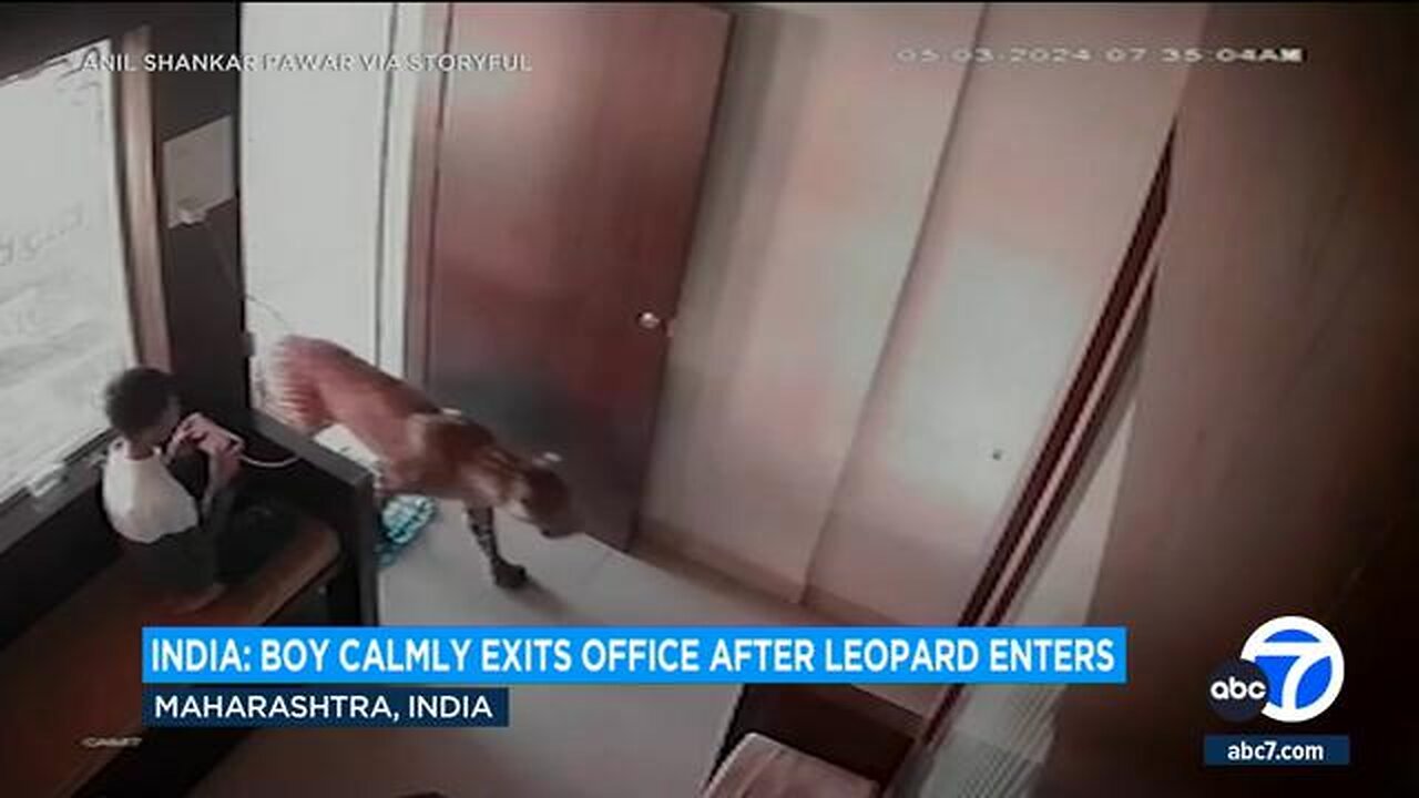 A 12-YEAR-OLD BOY IS MAKING HEADLINES FOR HIS QUICK THINKING AFTER A LEOPARD CASUALLY WALKED INTO...