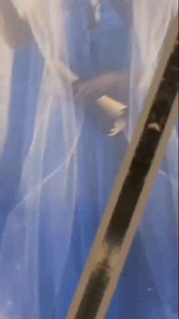 Welcome to Allegedly Tarot