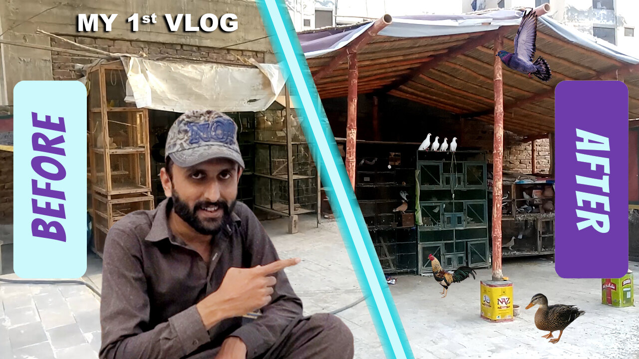 My 1st Pets Vlog | Pets K Liye Hut Bana Diya |