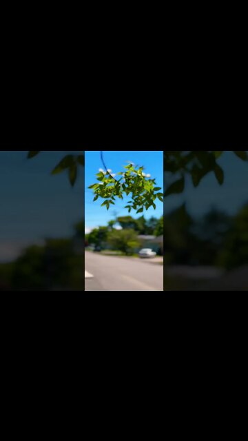 Testing cinematic mode on iPhone 13 pro