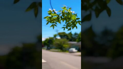 Testing cinematic mode on iPhone 13 pro