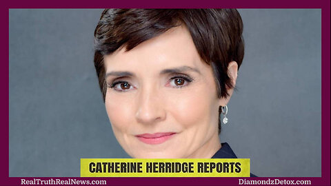 💥📝 Journalist Catherine Herridge Exposes Government Corruption in the Hunter Biden Tax Case ⭐ This Was Election Interference