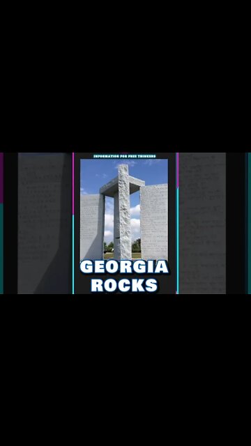 GEORGIA ROCKS - the Whole Tip Daily #shorts