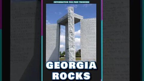 GEORGIA ROCKS - the Whole Tip Daily #shorts