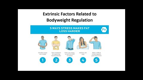 Weight Management 8 - Stress & Testing