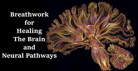 Breathwork for Healing the Brain, Neural Pathways and the Myelin Sheath