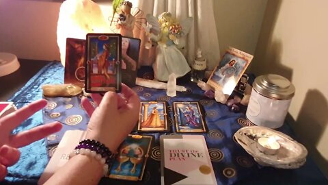 Aquarius - 2 November - 8 November 2020 Reading, Trust the Devine!