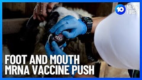 mRNA Cattle Vax. One Way, or Another. They Are Going to Get You