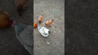 All together