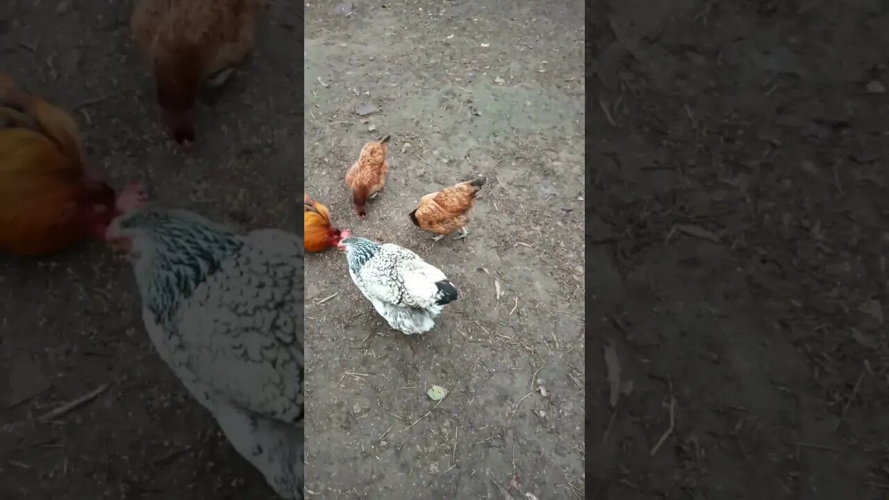 All together