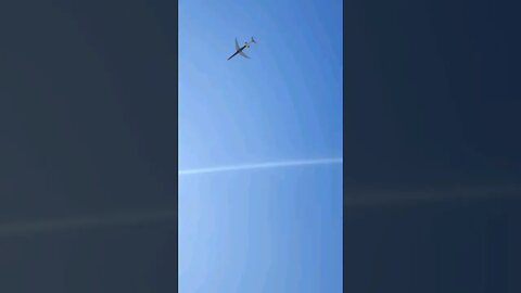 ⛱️ 🚘🛩 oh my