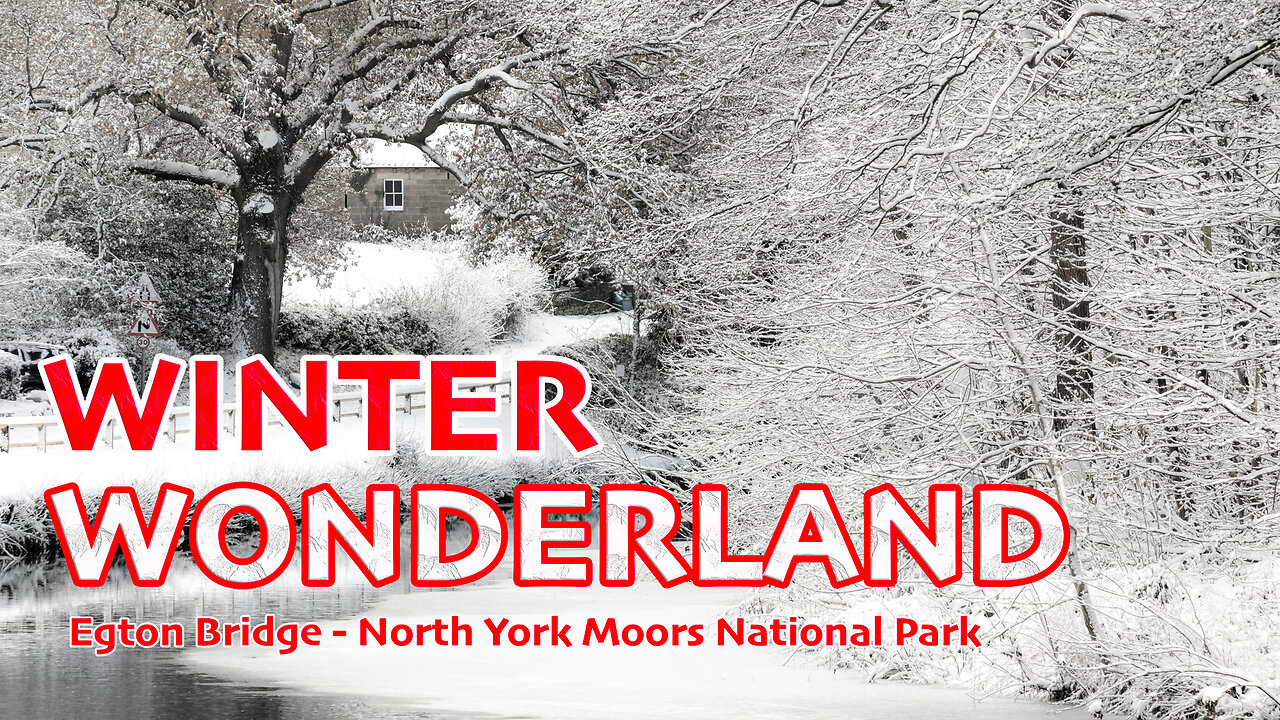 Egton Bridge Snow And Wildlife