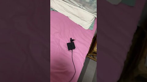 Romeu entrou em casa mordeu o carregador do meu computador e agora vem pedir desculpa #shorts