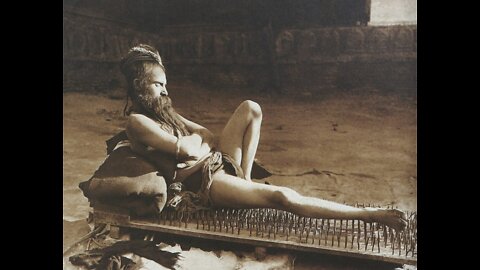 It's Time to Move from Immunity to Harmony