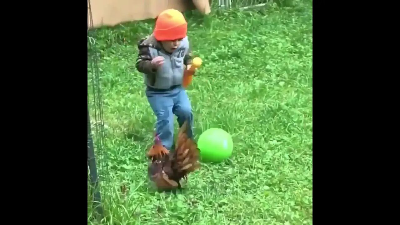 Animals scaring humans 😂 Hilarious