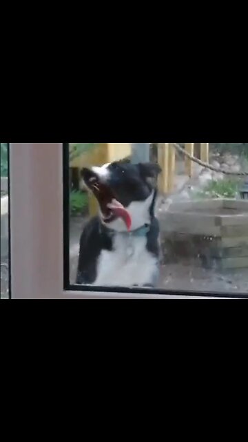 Get Your Tongue OFF My Door! - HaloEnt