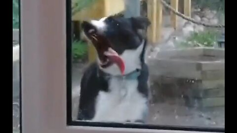 Get Your Tongue OFF My Door! - HaloEnt