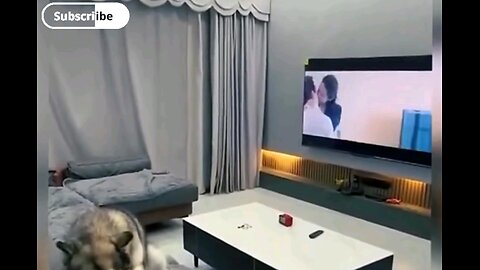Which scene seeing shy to be shame😜😂 interesting video