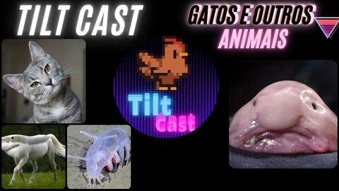 Tilt Cast 13 - Gatos e outros animais