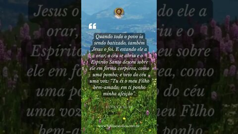 Lucas 3,21-22 - Quando todo o povo ia sendo batizado, também Jesus o foi. E estando ele a orar...