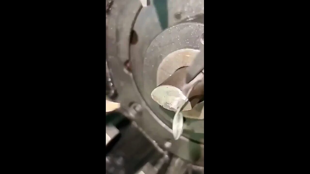Spring Making