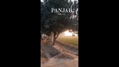 Panjab 💪🏻❤️‍🔥