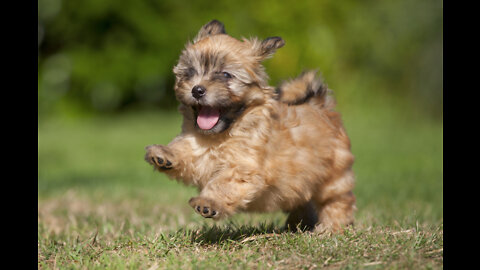 So cute Sz sz