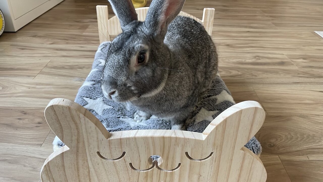 Enlarged Wooden Rabbit Bed with Reinforced Bottom Support Removable Cushion, Designed for Small Pets