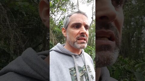 Sobre: PORTAR airgun ou airsoft #shorts