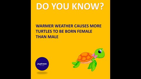 #22 Joyful Facts about birds and animals | Do you know? | Joy Stream