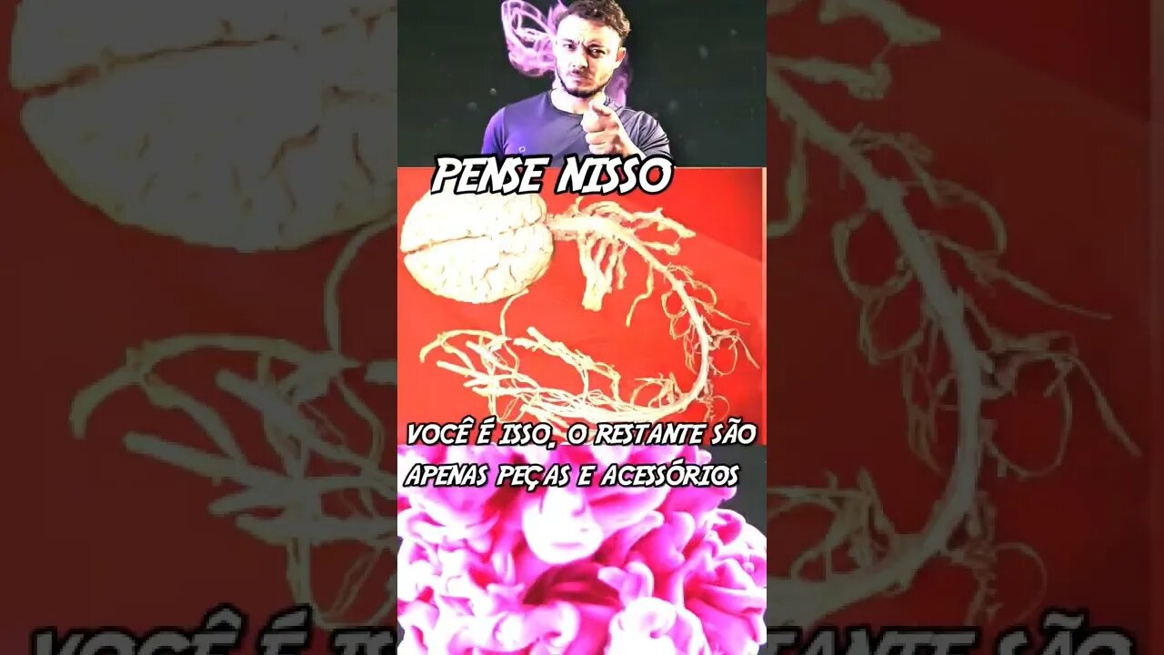 reflexão rápida