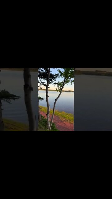 A Relaxing Walk Through Charlottetown PEI