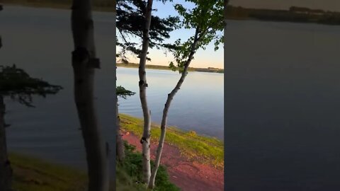 A Relaxing Walk Through Charlottetown PEI