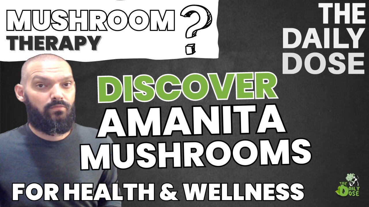 Benefits Of Amanita Mushrooms For Mental Health Explored