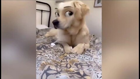 Funniest Animals😂 Funny cats and dogs 2023😺🐶part 1