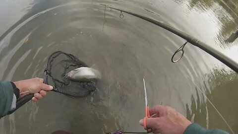 October steelhead fishing conditions