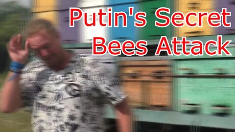 I Was Attacked By Russian Bees In Crimea (Gone Wrong)