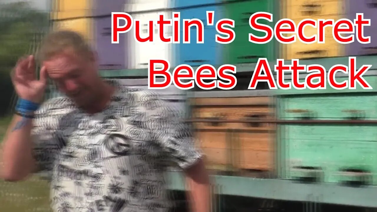 I Was Attacked By Russian Bees In Crimea (Gone Wrong)