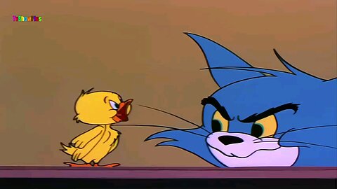 Tom and Jerry cartoon no3