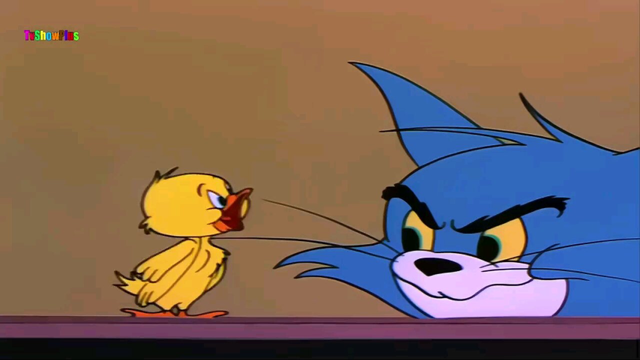 Tom and Jerry cartoon no3