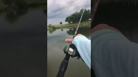 Fishing in a storm #getreel #bassfish #bassfishing #catchingfish #bass #fish