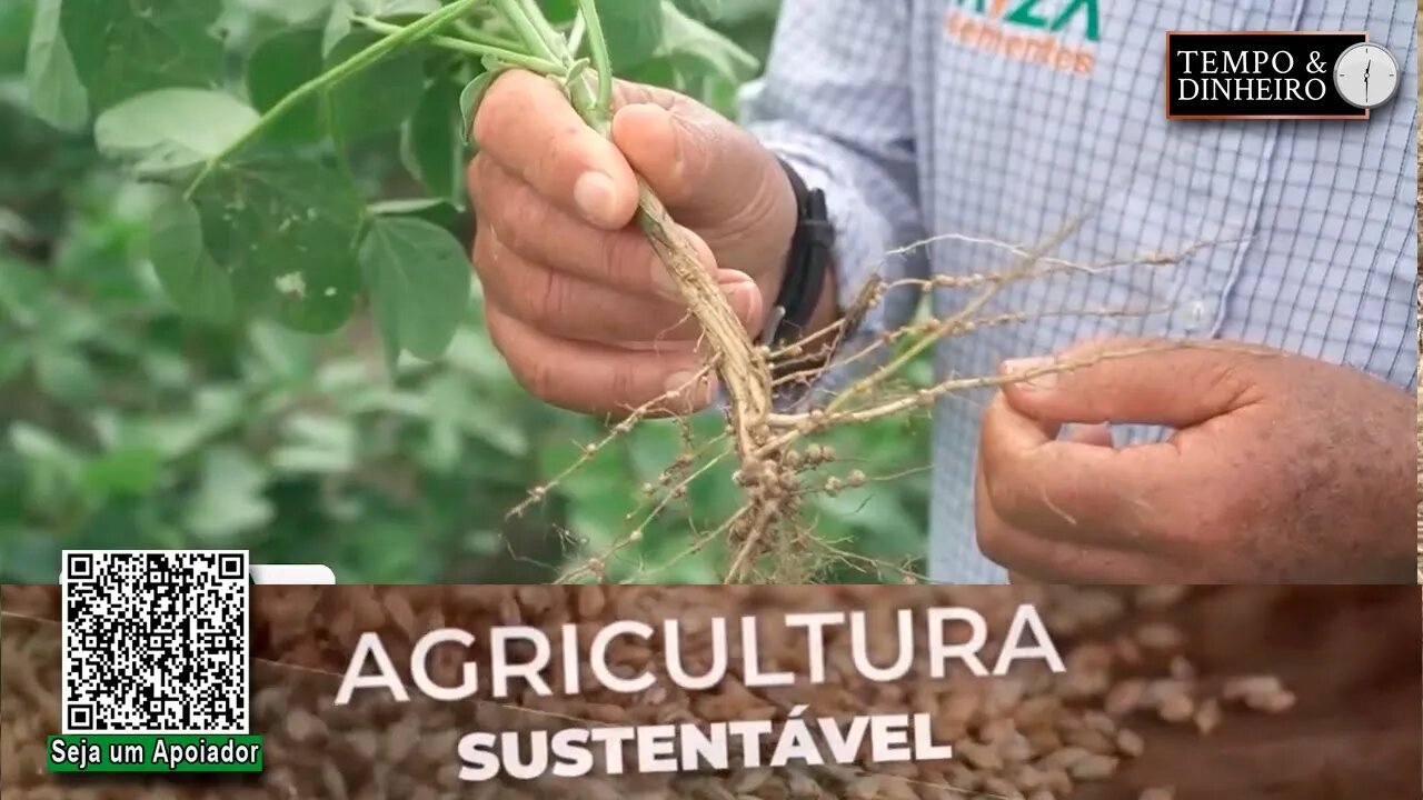 Palha cobrindo o solo. Essa é a receita da Riza Sementes para mais produtividade nas lavouras