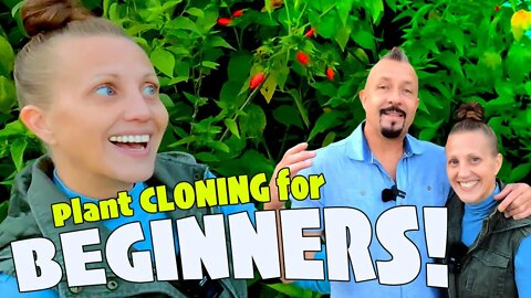 Plant Propagation for Beginners » 11 Edible Plants!