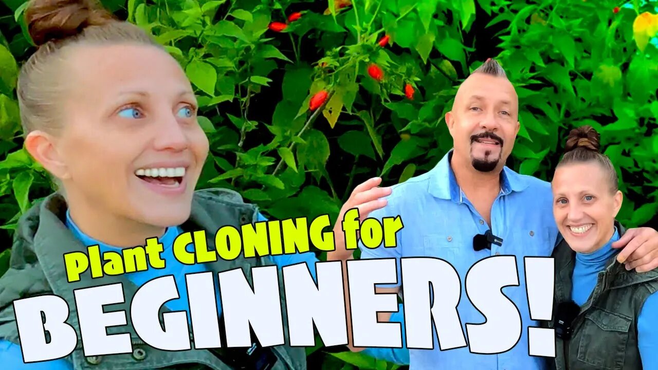 Plant Propagation for Beginners » 11 Edible Plants!