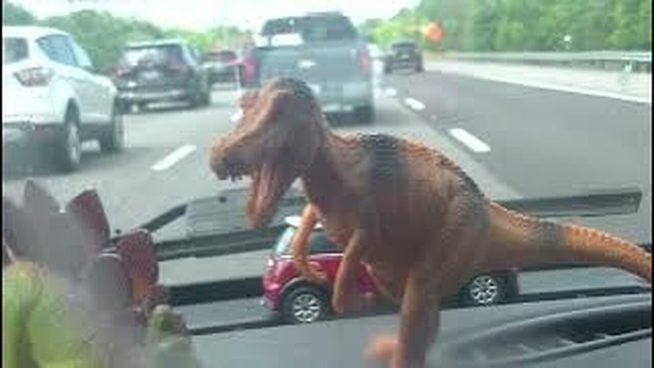 i talk to everything, get over it