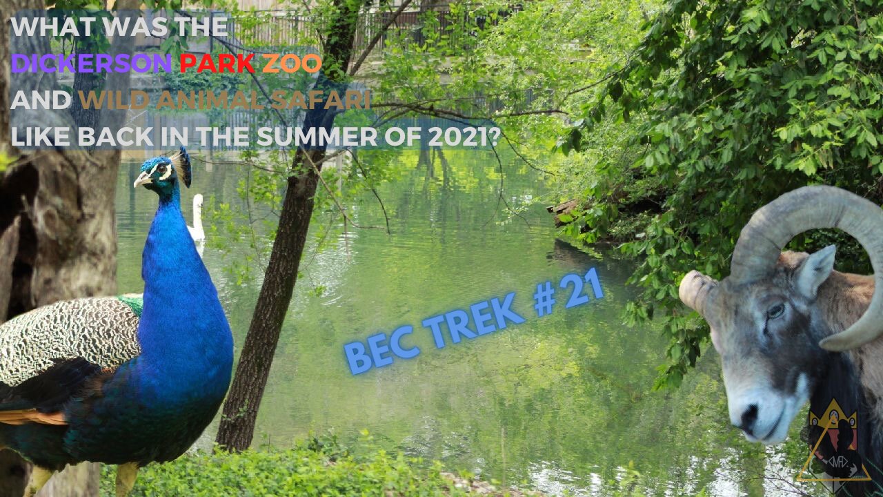 TWO-FOR-ONE, TWICE THE FUN!! | The Dickerson Park Zoo and Wild Animal Safari! | BEC TREK Episode 21
