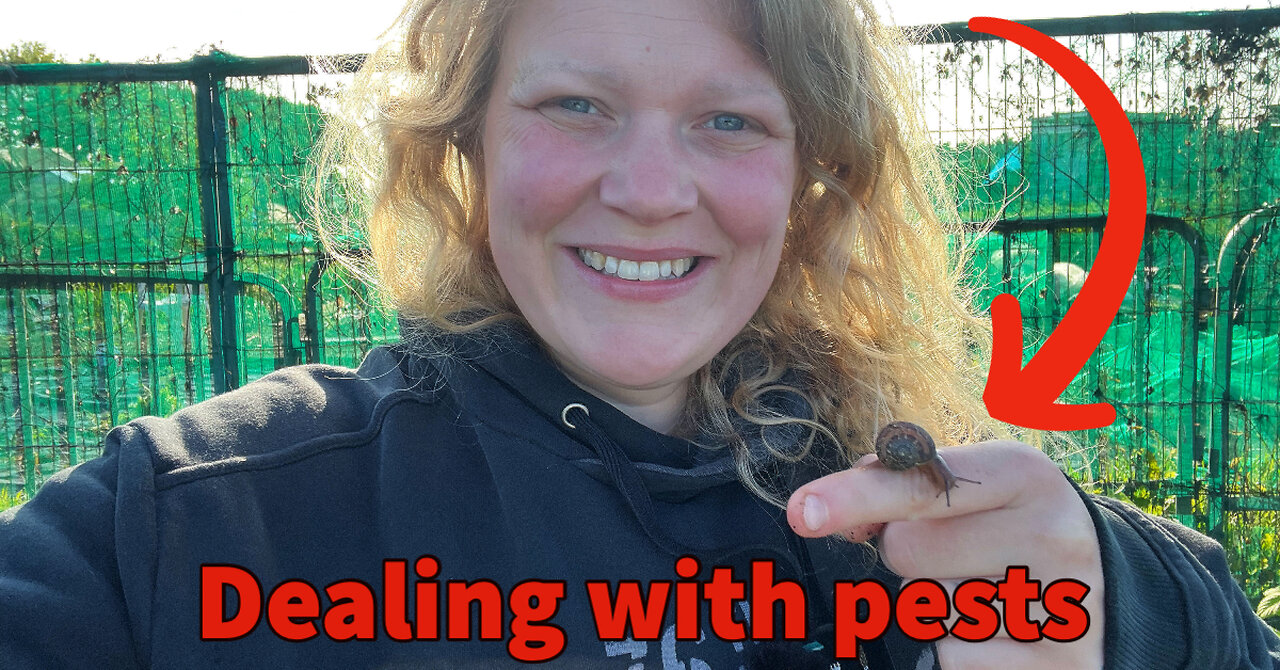 Managing Garden Pests: Tips and Tricks for a Healthy Allotment Garden