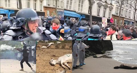 AS WORLDWIDE PROTESTS GROW IS A NEW PANDEMIC RISING?